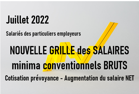 Grille De Classification Des Emplois Et Salaires Dans La Convention ...